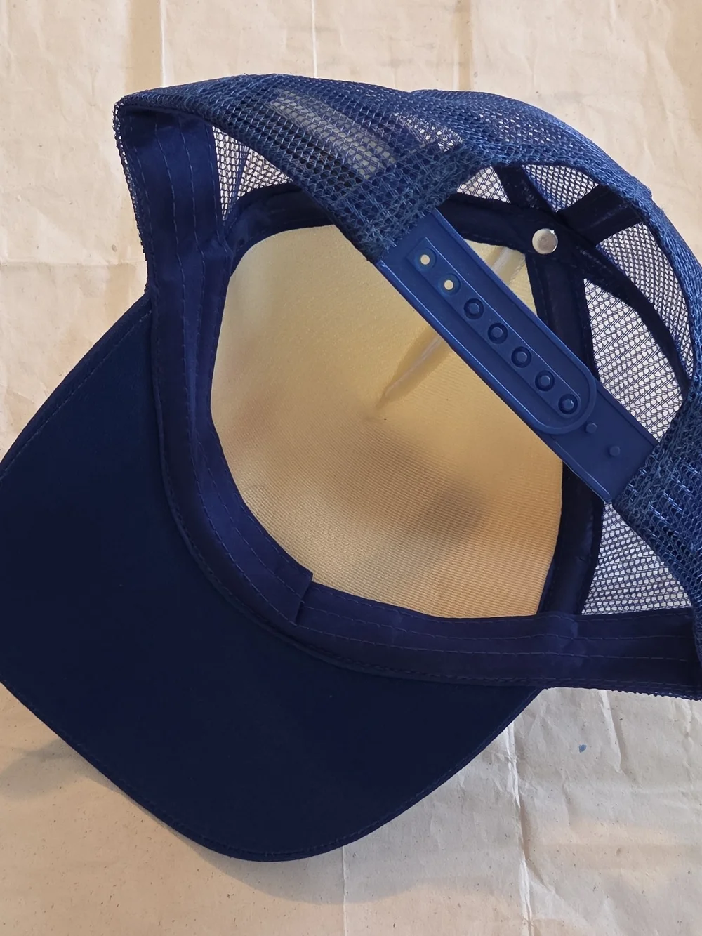 Absolut Vodka Born To Mix Blue/White Mesh Trucker Snapback Pride Distillery